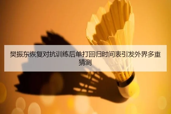 樊振东恢复对抗训练后单打回归时间表引发外界多重猜测